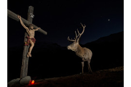 fot. Horst Eberhöfer, "Deer at the cross", wyróżnienie w kategorii Natura i Ludzie /  GDT Wildlife Photographer of the Year 2017