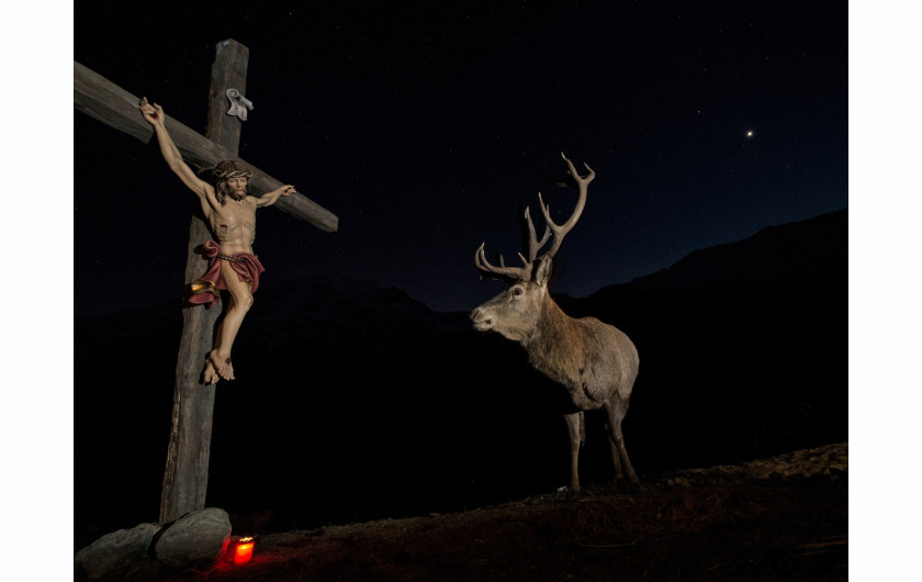 fot. Horst Eberhöfer, Deer at the cross, wyróżnienie w kategorii Natura i Ludzie /  GDT Wildlife Photographer of the Year 2017
