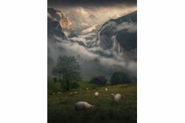 fot. Max Rive "Inhabitants of Alps", 2. miejsce w kat. Portfolio / 2021 International Landscape Photographer of the Year