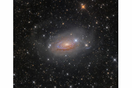 Oleg Bryzgalov - I miejsce w kategorii "Galaxies", zdjęcie przedstawia Messier 63 (strumień gwiazdy i Galaktykę Słonecznika)