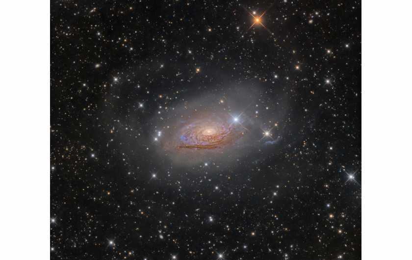 Oleg Bryzgalov - I miejsce w kategorii Galaxies, zdjęcie przedstawia Messier 63 (strumień gwiazdy i Galaktykę Słonecznika)