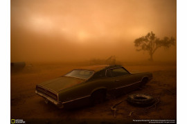 fot. Nicholas Moir, "Thundebird in the dust"

