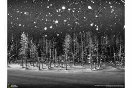 fot. Rucca Y Ito, "Snowflakes"