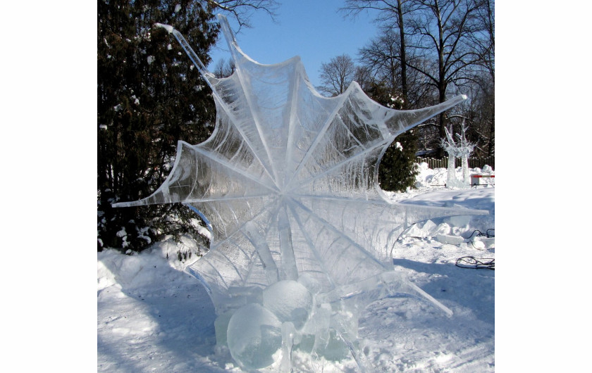 To tak naprawdę nie jest zamarznięta pajęczyna, a lodowa rzeźba wykonana w 2011 roku.