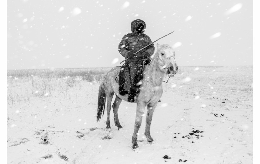 fot. Frederik Buyckx, Belgia, Fotograf Roku SWPA 2017

Horse Head - Koń od zawsze pełnił ważną rolę w na wpół nomadycznym życiu mieszkańców Kirgistanu. Jest niezbędnym przy zaganianiu owiec, a jego mleko i mięso jest ważnym elementem diety mieszkańców. Jest także sposobem na spędzanie wolnego czasu. Kirgijczycy lubią odpoczywać na ich grzbietach i często grają na nich w różnego rodzaju gry, jak na przykład Kok Boru, gdzie drużyny na koniach walczą między sobą o tuszę owcy.

