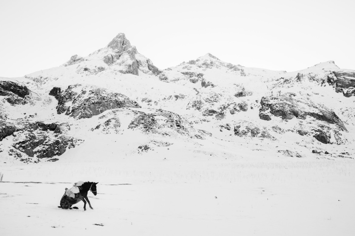 fot. Frederik Buyckx, Belgia, Fotograf Roku SWPA 2017

"Horse Head" - Koń od zawsze pełnił ważną rolę w na wpół nomadycznym życiu mieszkańców Kirgistanu. Jest niezbędnym przy zaganianiu owiec, a jego mleko i mięso jest ważnym elementem diety mieszkańców. Jest także sposobem na spędzanie wolnego czasu. Kirgijczycy lubią odpoczywać na ich grzbietach i często grają na nich w różnego rodzaju gry, jak na przykład Kok Boru, gdzie drużyny na koniach walczą między sobą o tuszę owcy.