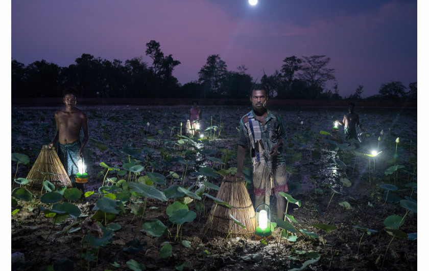 fot. Ruben Salgado Escudero, w indyjskim stanie Odisha dostęp do elektryczności ma mniej niż połowa społeczeństwa. Wieśniacy łowią ryby przy pomocy słomianych koszy i lamp solarnych, Indie 2015