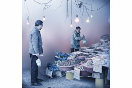 Alexis Goodwin, „light bulbs“ z cyklu „Shanghai Dreams“