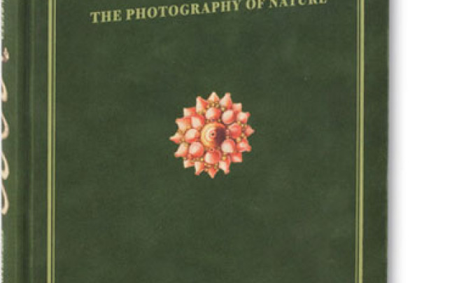 Joan Fontcuberta "The Photography of Nature & The Nature of Photography" - recenzja