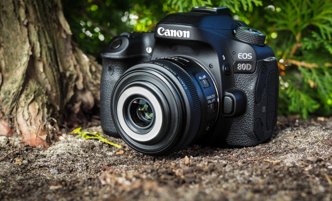  Canon EF-S 35 mm f/2.8 Macro IS STM - test obiektywu