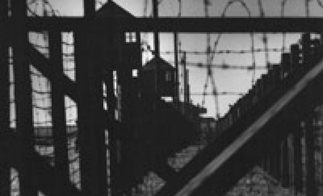Majdanek w fotografii Edwarda Hartwiga