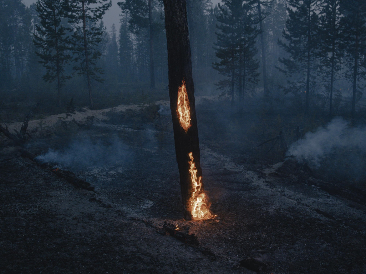 fot. Nanna Heitmann, z cyklu "As Frozen Land Burns", nagroda w okręgu europejskim


<br><br>

Drzewa płoną podczas pożaru lasu w pobliżu miejscowości Kürelyakh, Sacha, Syberia, Rosja, 5 lipca 2021 r.

<br><br>

Sacha, znana również jako Jakucja, rozciągająca się na obszarze ponad trzech milionów kilometrów kwadratowych na dalekim północnym wschodzie Federacji Rosyjskiej, doświadczyła w 2021 r. niszczycielskich pożarów, poważnego zanieczyszczenia dymem i topnienia wiecznej zmarzliny. Według danych Greenpeace Rosja do połowy sierpnia pożary spustoszyły ponad 17,08 mln hektarów - to więcej niż obszary spalone przez pożary w Grecji, Turcji, Włoszech, USA i Kanadzie razem wzięte. Program Monitorowania i Oceny Arktyki donosi, że Arktyka ogrzewa się szybciej niż wynosi średnia światowa.
