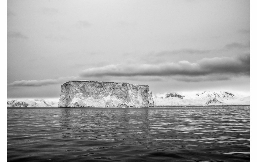 I miejsce w kategorii ŚRODOWISKO - fot. Maciej Jabłoński, F11 – Studio
Antarktyda. Reportaż powstał podczas antarktycznego rejsu jesienią 2018 roku, autor był członkiem załogi S/Y Selma Expeditions – jachtu, który od kilkunastu lat eksploruje wody Antarktydy. Na zdjęciu: Żeglując po wodach Antarktyki, mijaliśmy góry lodowe różnej wielkości i kształtu. Ta była ogromnym regularnym blokiem. Nawet do 80 proc. góry może znajdować się pod wodą.
Październik–listopad 2018