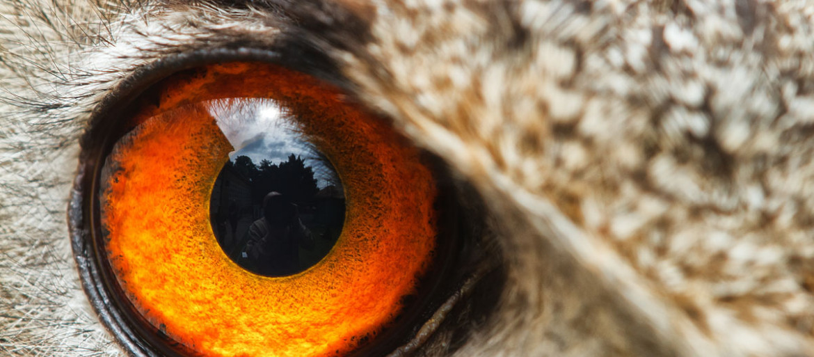 Ucz się fotografować dziką naturę ze specjalnym wydaniem Digital Camera Polska