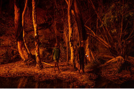 fot. Matthew Abbot, z cyklu "Saving Forrests with Fire", nagroda w okręgu Azji Południowo-wschodnie i Oceanii



<br><br>

Stacey Lee (11 lat, z lewej) podpala korę drzew, aby uzyskać naturalne źródło światła, które pomaga w polowaniu na węże brodawkowe (Acrochordus arafurae), w Djulkar, Arnhem Land, Australia, 22 lipca 2021 r. 



<br><br>


Rdzenni Australijczycy strategicznie wypalają ziemię w ramach praktyki znanej jako "chłodne wypalanie", w której ogień rozprzestrzenia się powoli, wypala tylko podszycio, które przyczynia się do powstawania większych pożarów. Nawarddekenowie z Zachodniego Arnhem Landu w Australii praktykują kontrolowane wypalanie chłodne od dziesiątków tysięcy lat i postrzegają ogień jako narzędzie do zarządzania swoją ojczyzną o powierzchni 1,39 mln hektarów. Strażnicy Nawarddeken łączą tradycyjną wiedzę z nowoczesnymi technologiami, aby zapobiegać pożarom, zmniejszając tym samym ilość CO2, który podgrzewa klimat.  