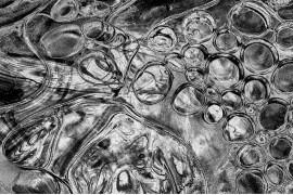fot. Bill Dixon, z cyklu "Abstracts In Ice", 1. miejsce w kategorii Abstract / Series