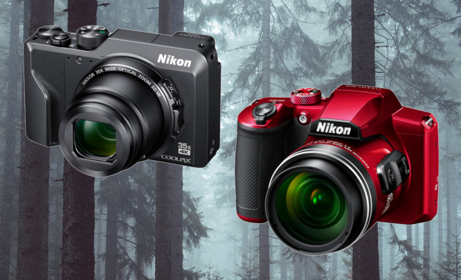 Nikon Coolpix A1000 i B600 - imponujące zbliżenia w zasięgu ręki