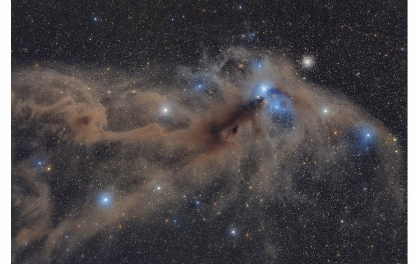 fot. Mario Cogo, Corona Australis Dust Complex, 1. miejsce w kategorii Stars and Nebulae / Insight Astronomy Photographer of the Year 2018