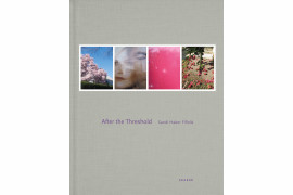 Sandi Haber Fifield “After the Threshold”