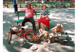 fot. D. Gorton, "Cats on Parade", Central Park / NYC Park Photo Archive