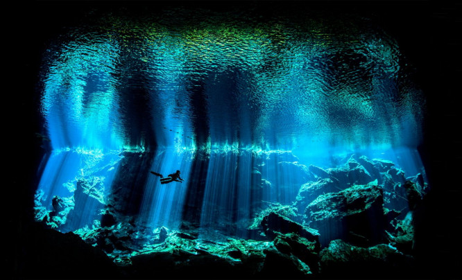  Zobacz piękno podwodnego świata na zdjęciach laureatów Underwater Photographer of the Year 2017