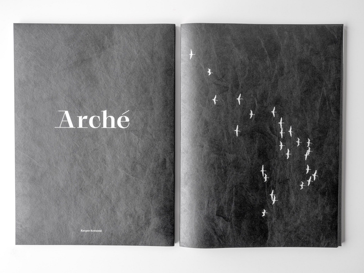 Kacper Kowalski, "Arche", 2021