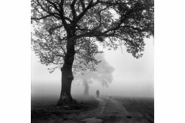 fot. Małgorzata Szura Piwnik, "A Walk in the Fog", 2. Miejsce w kat. Analog: Landscape / IPA 2020