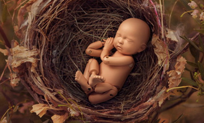StandInBaby - nowy sposób na naukę fotografowania noworodków