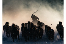 fot. Anthony Lau, "Winter Horseman", National Geographic Travel Photographer of the Year 2016