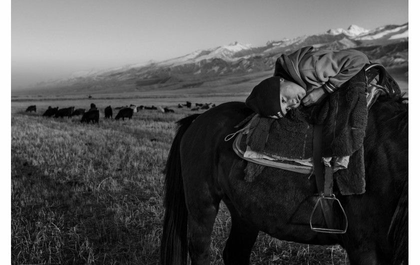 fot. Frederik Buyckx, z cyklu horse Head

Koń od zawsze pełnił ważną rolę w na wpół nomadycznym życiu mieszkańców Kirgistanu. Jest niezbędnym przy zaganianiu owiec, a jego mleko i mięso jest ważnym elementem  diety mieszkańców. Jest także sposobem na spędzanie wolnego czasu. Kirgijczycy lubią odpoczywać na ich grzbietach i często grają na nich w różnego rodzaju gry, jak na przykład Kok Boru, gdzie drużyny na koniach walczą między sobą o tuszę owcy.