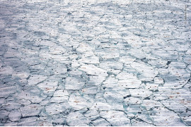 fot. Jennifer Hayes, "Nursery meltdown", nagroda w kat. Oceans: The Bigger Picture / Wildlife Photographer of the Year 2021<br></br><br></br>Zdjęcie przedstawia miejsce narodzin fok grenlandzkich. Każdej jesieni foki migrują na południe, opóźniając narodziny do czasu, gdy utworzy się lód morski. Foki są zależne od lodu, co oznacza, że zmiany klimatyczne prawdopodobnie wpłyną na przyszłe populacje.