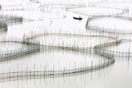fot. Tugo Cheng, "Costal Geometries", główna nagroda w sekcji amatorskiej i tytuł International Discovery of the Year.

Seria abstrakcyjnych pejzaży, do których punkt wyjścia stanowiła akwakultura prowincji Fujian, na południowo-wschodnim wybrzeżu Chin.