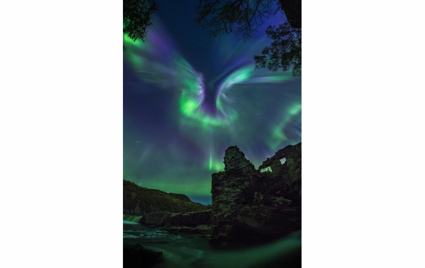 fot. Alexander Stepanenko, Aurora is a Bird / Insight Investment Astronomy Photographer of the Year 2019