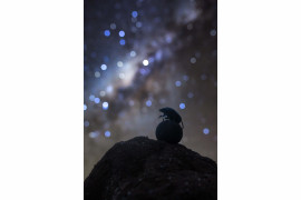 fot. Robin Stuart, "Celestial Navigator" / Insight Investment Astronomy Photographer of the Year 2019