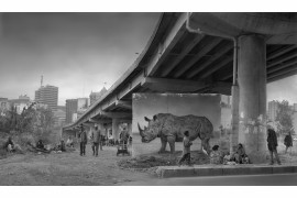 fot. Nick Brandt, "Underpass with Rhino"