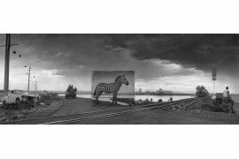 fot. Nickt Brandt, "Road to Factory with Zebra"