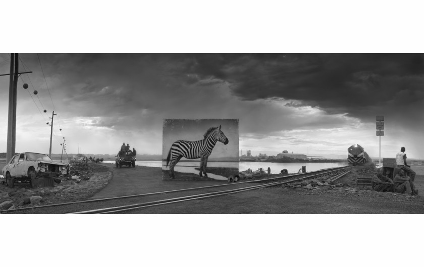 fot. Nickt Brandt, Road to Factory with Zebra