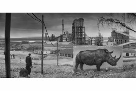 fot. Nick Brandt, "Factory with Rhino"