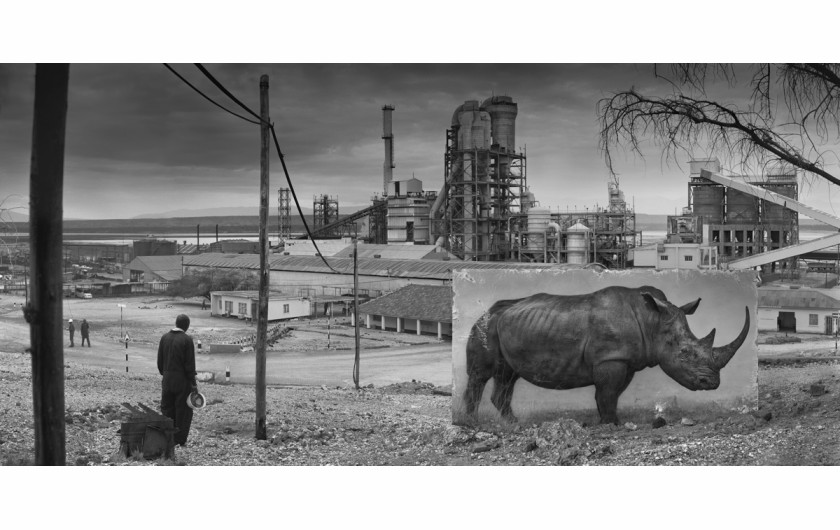 fot. Nick Brandt, Factory with Rhino
