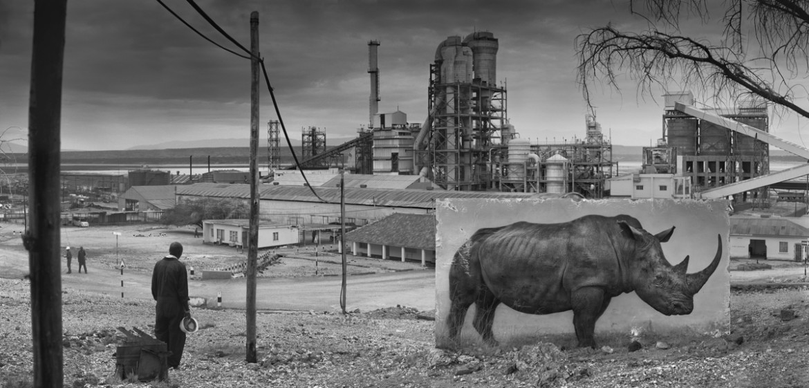 fot. Nick Brandt, "Factory with Rhino"