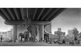 fot. Nick Brandt, "Underpass with Elephants"