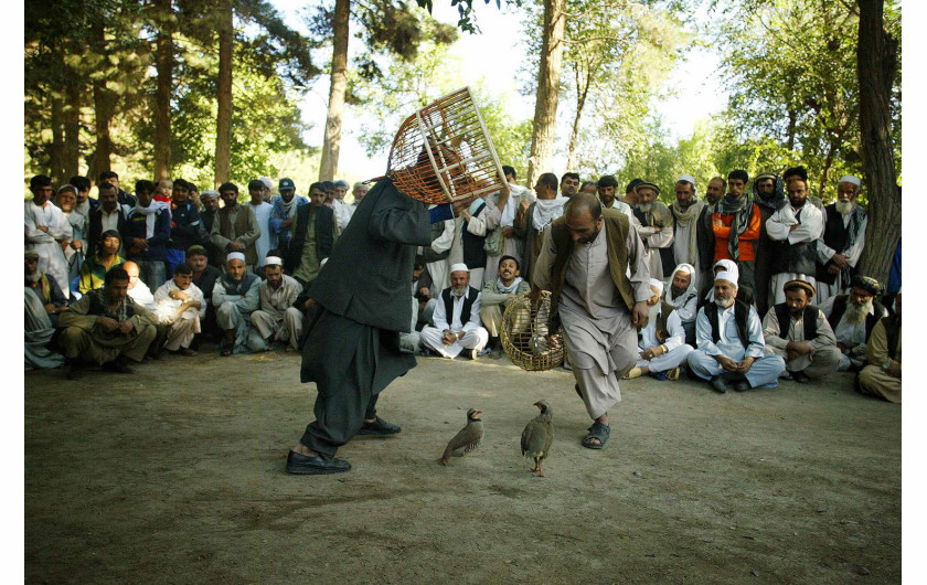 fot. Moe Zoyari | Ludzie oglądają walk kuropatw w parku w Kabulu, w Afganistanie.