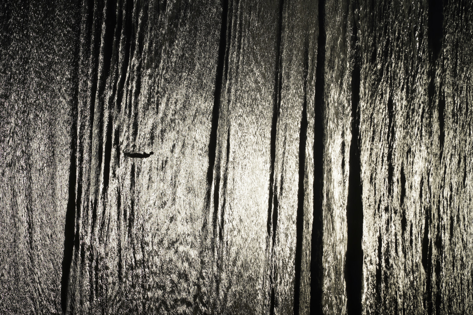 1/8000 s, f/8, ISO 100, 180 mm