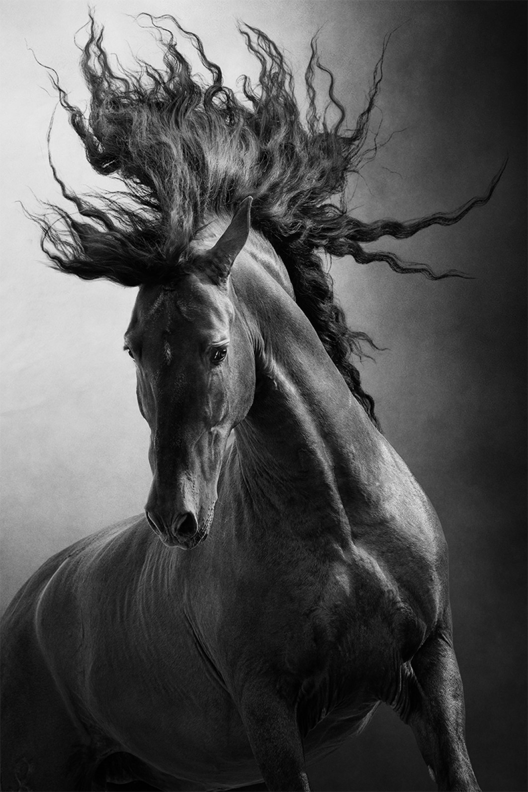 Fot. Agnieszka Karmolińska, wyróżnienie  / Fine Art Photography Awards 2026