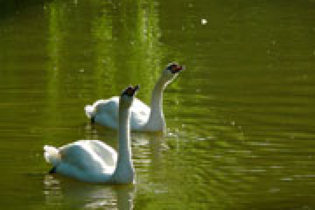 Panasonic Lumix G2 - opinia Jacka Gilarskiego