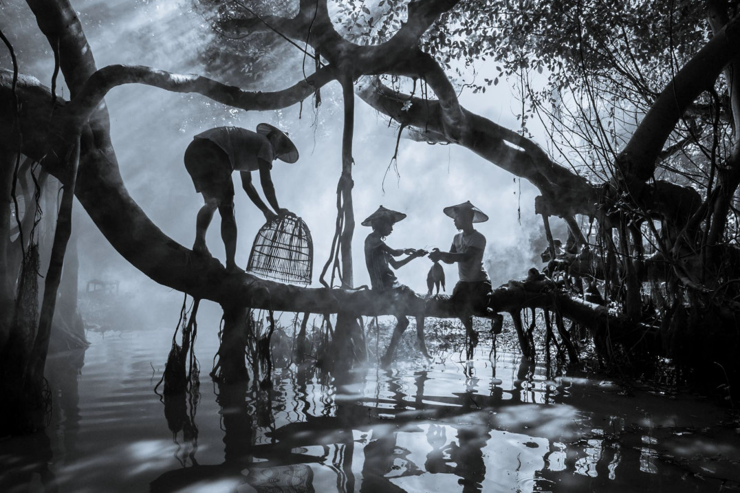 SWPA 2026 - ogłoszono laureatów nagród regionalnych i European Student Award