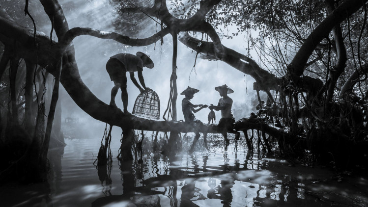 SWPA 2026 - ogłoszono laureatów nagród regionalnych i European Student Award