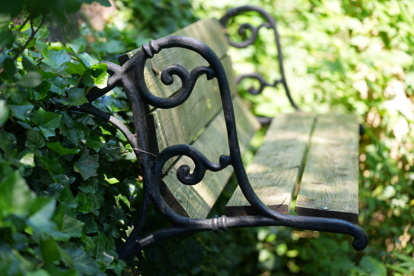 1/125 s, f/2.8, ISO 125, 97.0 mm