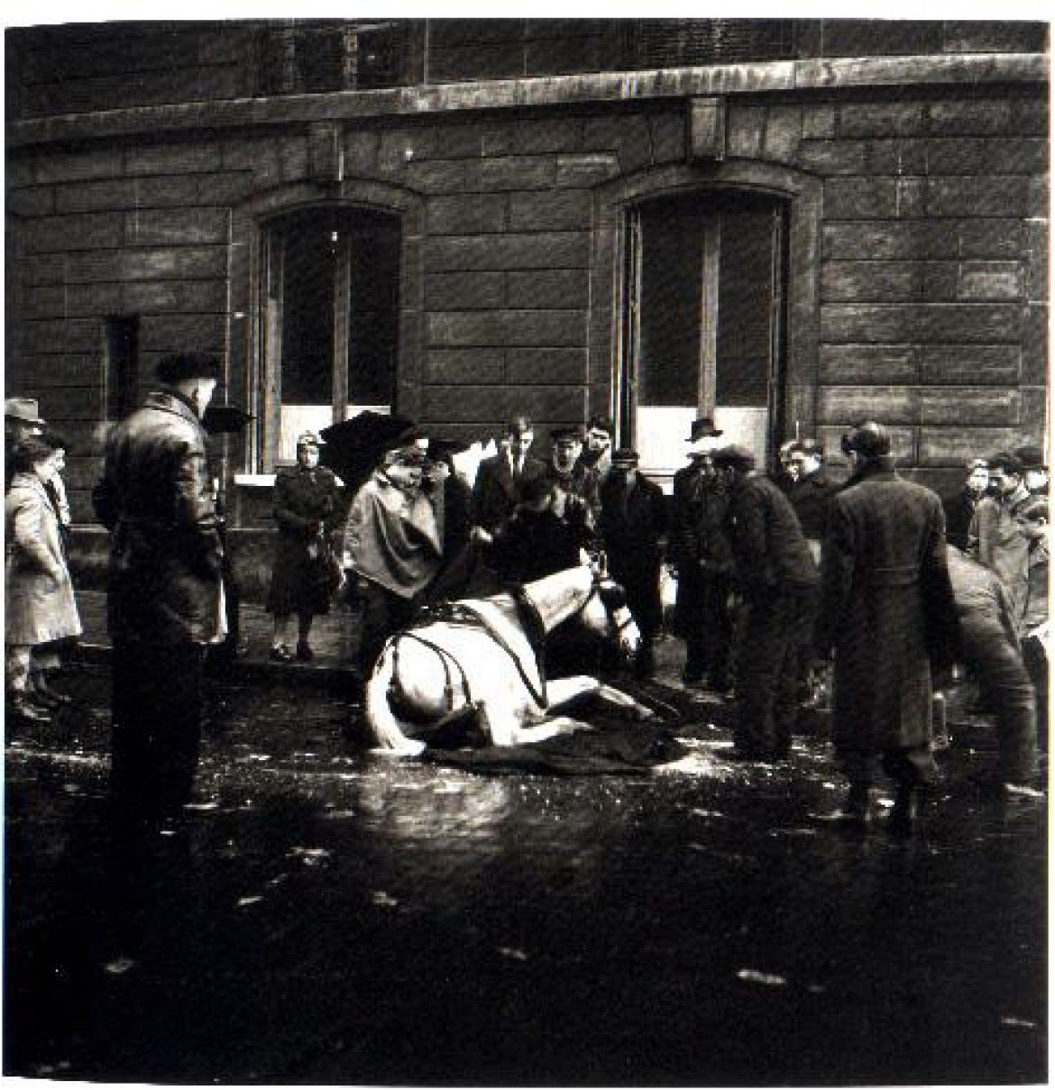 Ślizgający się koń, Paryż 1942