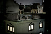 World Press Photo 2010 - nagrodzone prace